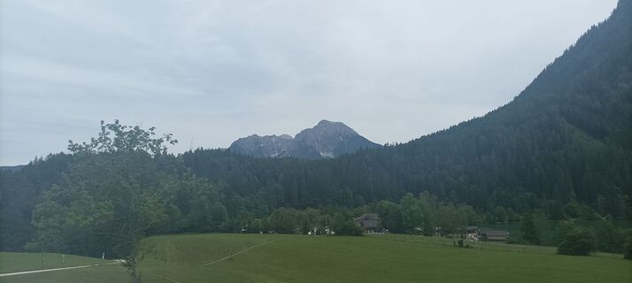 Fotografija s spletne strani Cornelia Bruckner-Holzer na poti