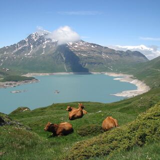 Der See von Mont Cenis