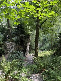 Photo de Ewelina Basałyga le long du parcours