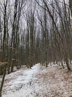 Photo de Hans Franz le long du parcours