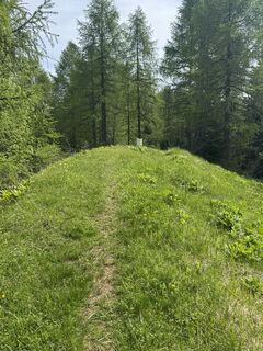 Zdjęcie z Matthias Rath wzdłuż trasy