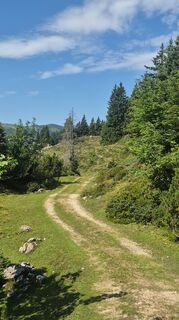 Foto von Steffen Kollmann entlang der Tour