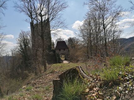 Foto von Wanderfux entlang der Tour