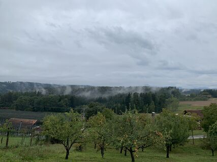 Foto von Melanie Hörzer entlang der Tour