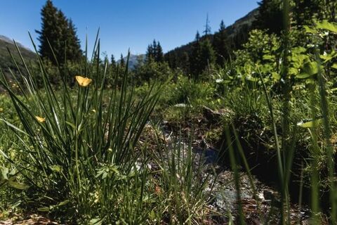 Vals Alter Zerfreilaweg; Foto: Lukas Schweizer