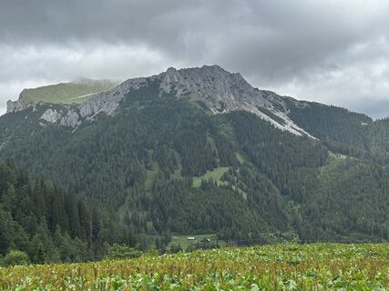Foto von Carola Krems entlang der Tour