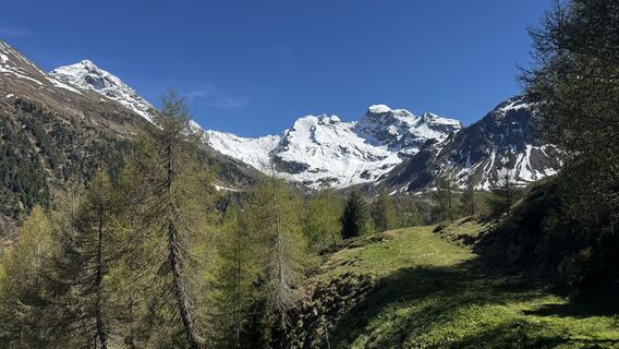 Photo de ROBERTO BONIOTTI le long du parcours