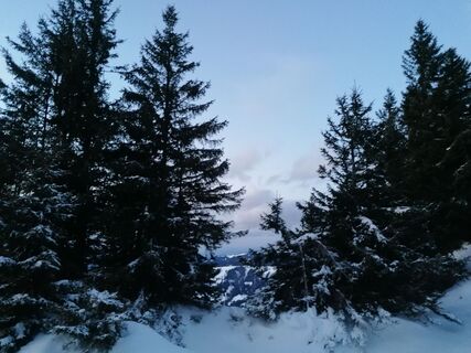 Fotografija s spletne strani Turbinio na poti