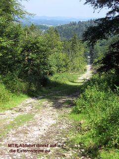 Wilde Abfahrt am Osthang
