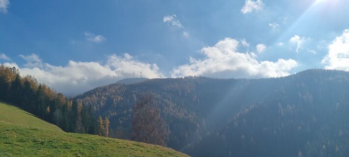 Foto von Www Dominik Henn 20 entlang der Tour