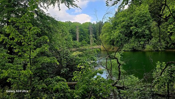 Zdjęcie z Edit Szoboszlay wzdłuż trasy