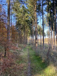 Photo de Arthur Muskalla le long du parcours