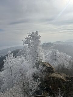 Fotografie de la Zengaffinen Erwin de-a lungul turului