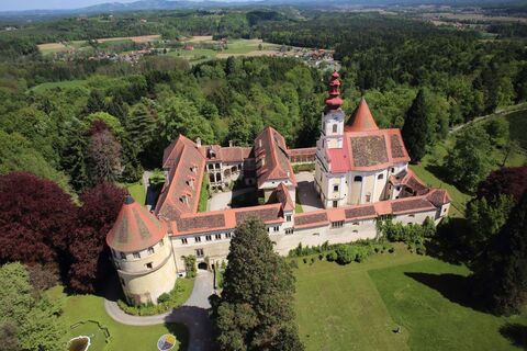 Vogelperspektive auf das Schloss Hollenegg