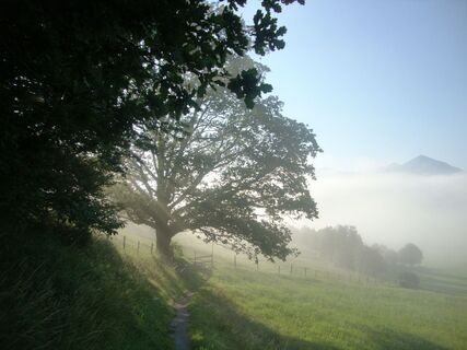 f.x. mayr weg_img_62043491