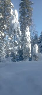 Foto von Enrico T entlang der Tour