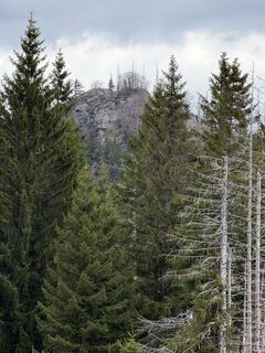 Photo de Christian H. le long du parcours