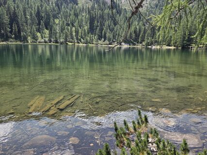 Fotografie z Helli Leiter na trase