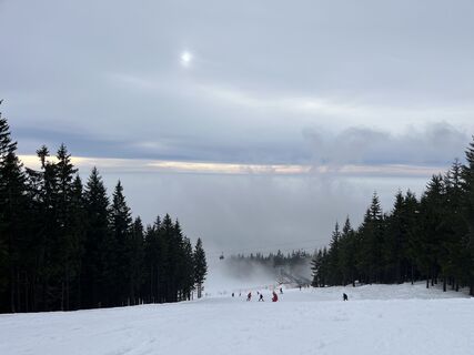 Fotografija s spletne strani Martin Shanel na poti