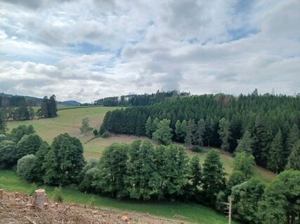 Foto de Claudi G a lo largo del recorrido