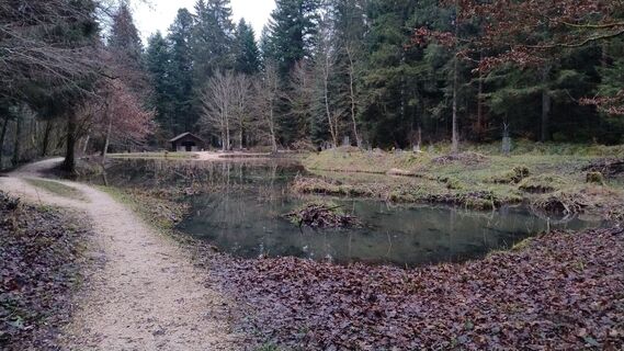 Foto von lkusmir entlang der Tour