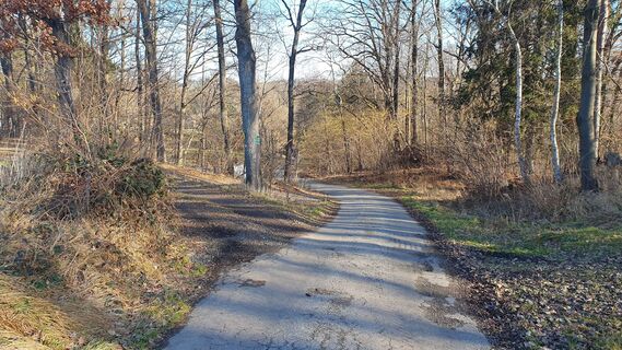 1.6 km Links in Weg bei Oberbrühl