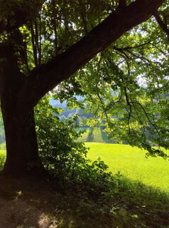 Foto von G.A. entlang der Tour
