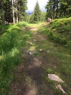 Weg zur Goglesalm.JPG