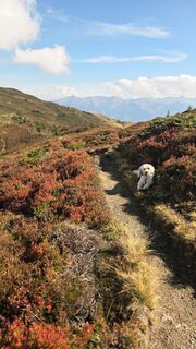 Foto von Marlies Keck entlang der Tour