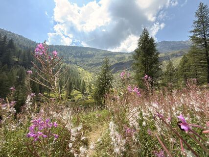 Foto von Koen De Wit entlang der Tour