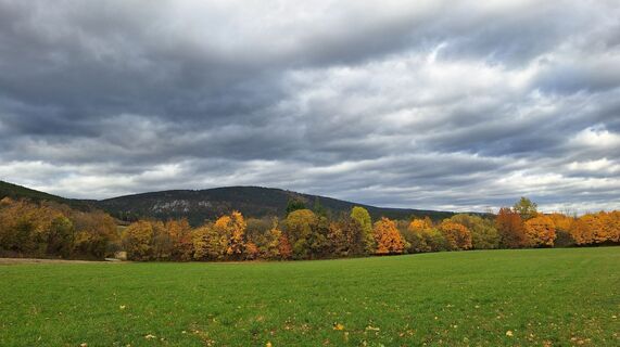 Foto fra Regina Fleischmann underveis på turen
