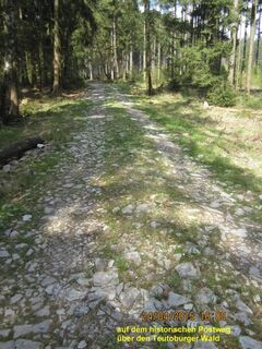 Alter Postweg, historische Wegeverbindung quer über die Hügelketten des Teutoburger Waldes
