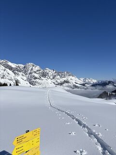 Fotografie z Heinz Sperl na trase