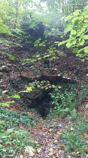 Photo de Helene Singer le long du parcours