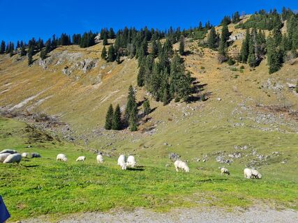 Foto von daniel edelmayer entlang der Tour