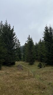 Photo de Alexander Salem le long du parcours