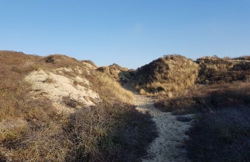 Fort-Mahon-Plage_Pfad-Fischer-Dünen©SommeTourisme-DM