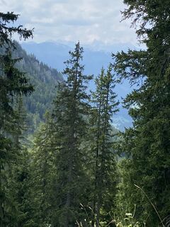 Photo de Christine Knotz le long du parcours