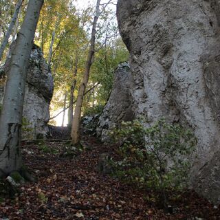 Zu den Hanner Felsen