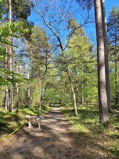Fotografie z Angelika Gerung na trase