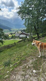 Foto von Michael Kosican entlang der Tour