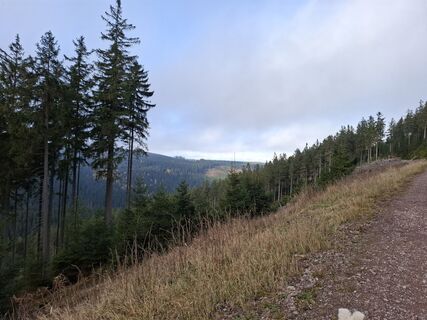 Photo de Karin-Wandert le long du parcours