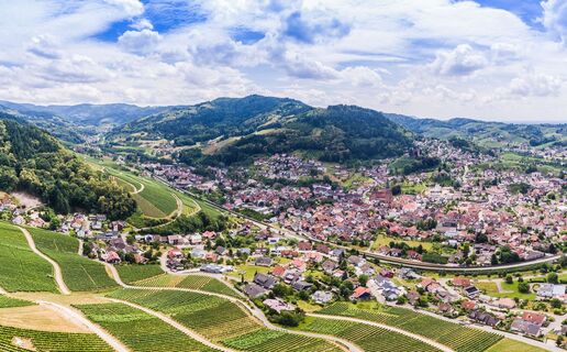 Blick über Weinreben nach Kappelrodeck, copyright Benedikt Spether