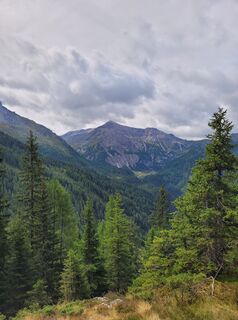 Fotografia z schenkeli na trase