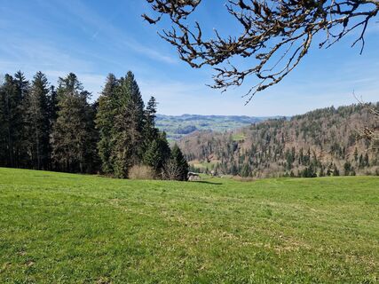 Photo de Zahner Petra le long du parcours