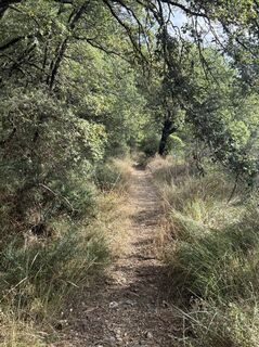 Fotografija s spletne strani Karsten Kümmel na poti