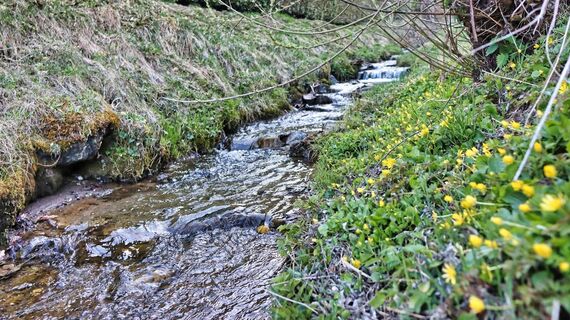 Der Rattenberger Bach
