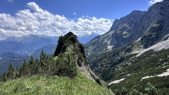 Foto von Mountain Cat ? ⛰️ entlang der Tour