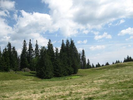 Feistritzsattel . Hochwechsel