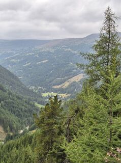 Fotografija s spletne strani Susann Herfurth na poti